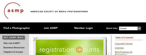 Screen shot of the ASMP website focusing on registration counts